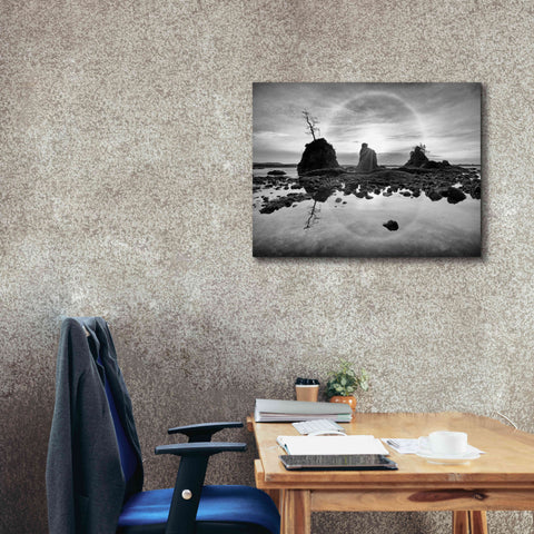 Image of 'Tree Island' by Thomas Haney, Giclee Canvas Wall Art,34 x 26