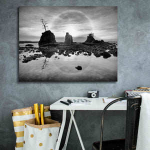 'Tree Island' by Thomas Haney, Giclee Canvas Wall Art,34 x 26
