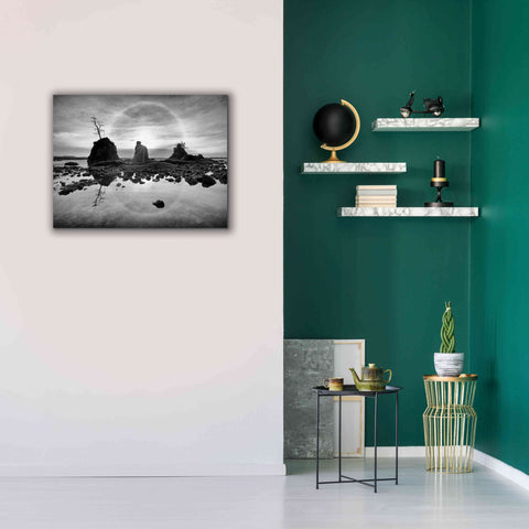 Image of 'Tree Island' by Thomas Haney, Giclee Canvas Wall Art,34 x 26