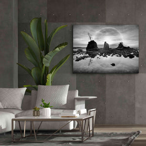 'Tree Island' by Thomas Haney, Giclee Canvas Wall Art,54 x 40