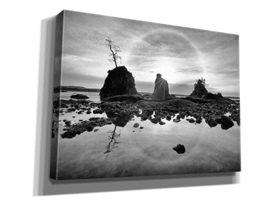 'Tree Island' by Thomas Haney, Giclee Canvas Wall Art