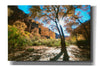 'Trembling' by Thomas Haney, Giclee Canvas Wall Art