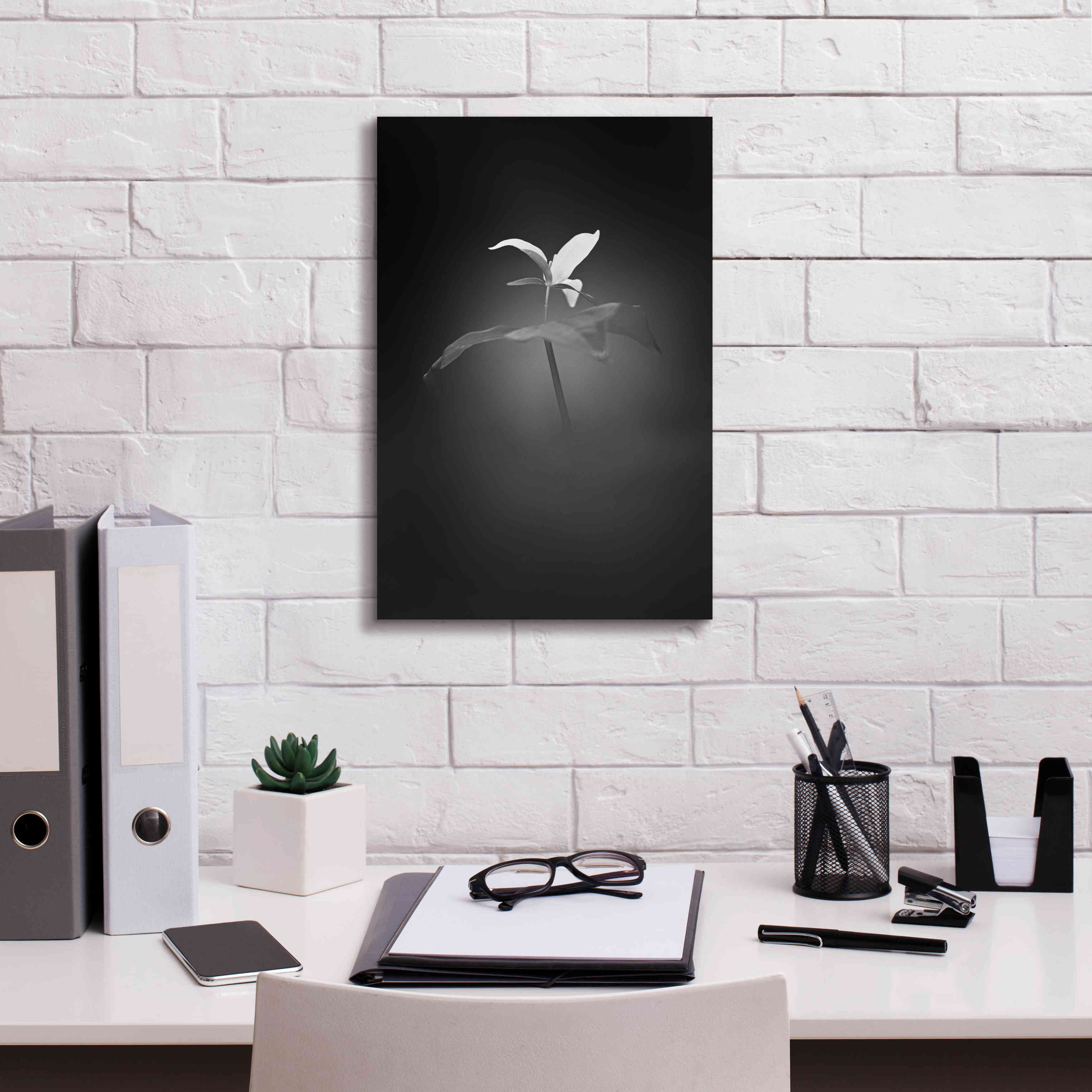 'Trillium Pastel 1 B&W' by Thomas Haney, Giclee Canvas Wall Art,12 x 18