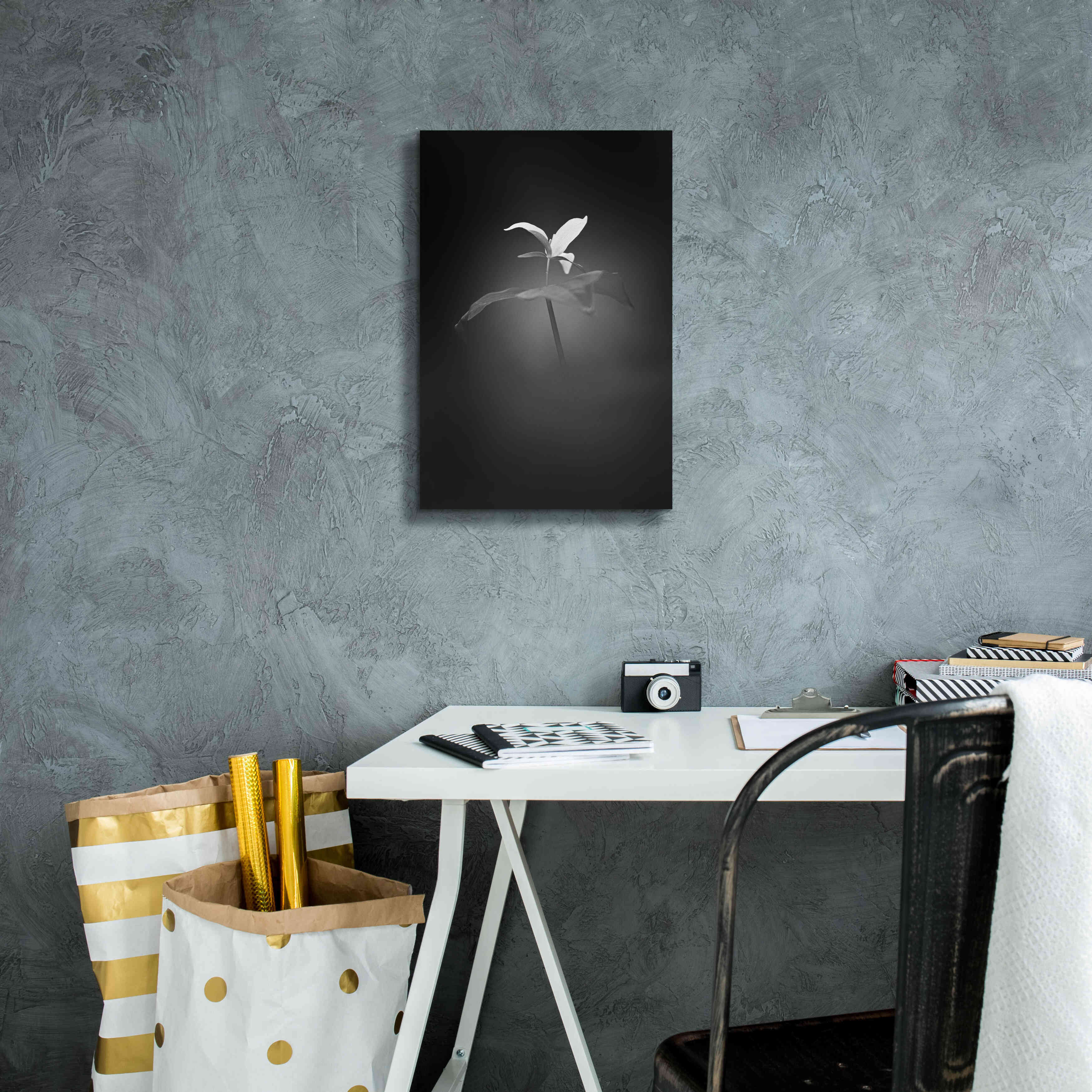 'Trillium Pastel 1 B&W' by Thomas Haney, Giclee Canvas Wall Art,12 x 18