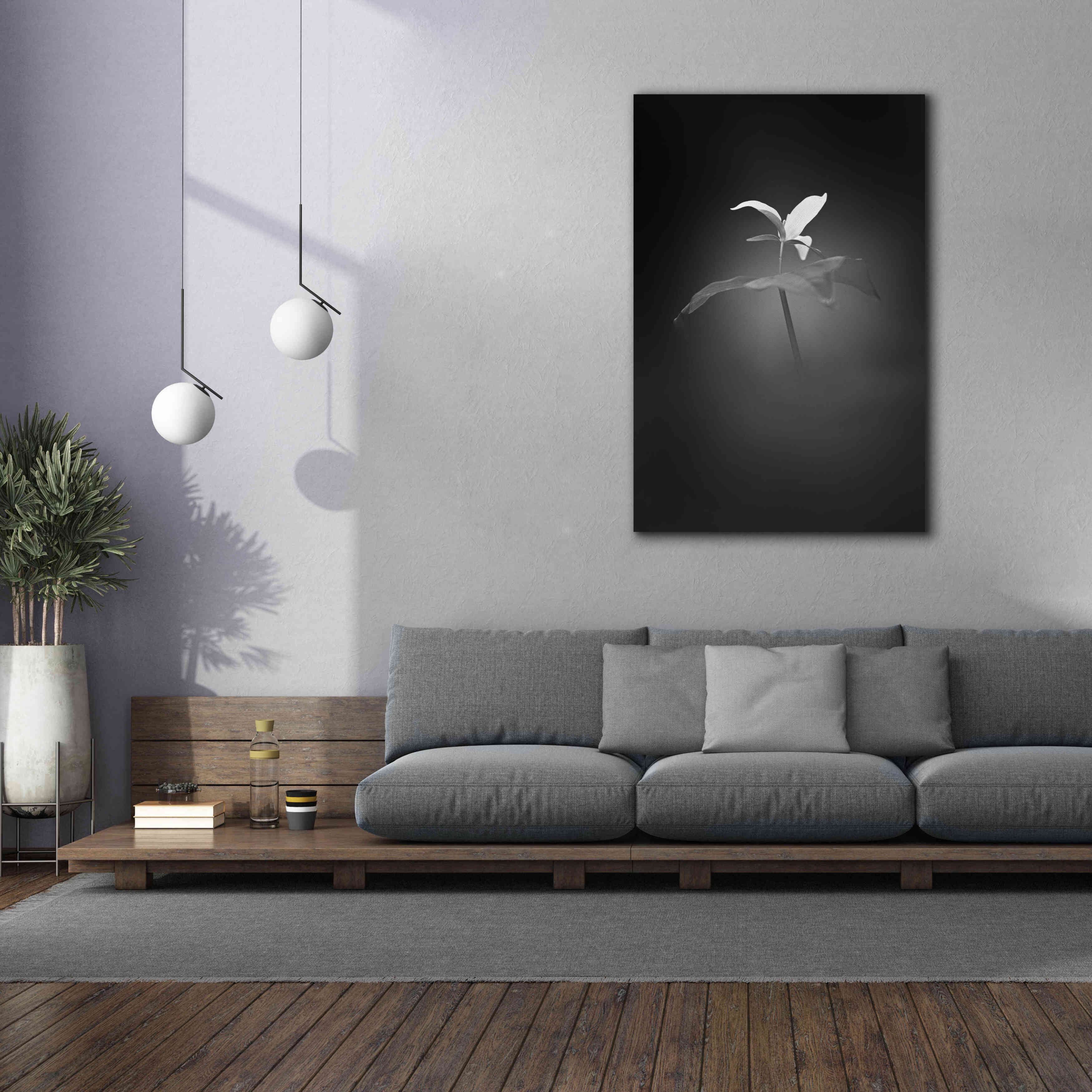 'Trillium Pastel 1 B&W' by Thomas Haney, Giclee Canvas Wall Art,40 x 60