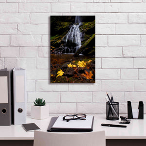 'Waterfall Maple Leaves' by Thomas Haney, Giclee Canvas Wall Art,12 x 18