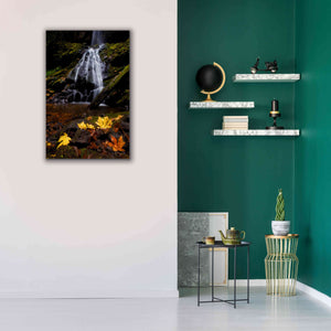 'Waterfall Maple Leaves' by Thomas Haney, Giclee Canvas Wall Art,26 x 40