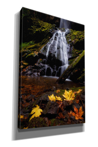Image of 'Waterfall Maple Leaves' by Thomas Haney, Giclee Canvas Wall Art