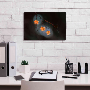 'Wet Fall' by Thomas Haney, Giclee Canvas Wall Art,18 x 12