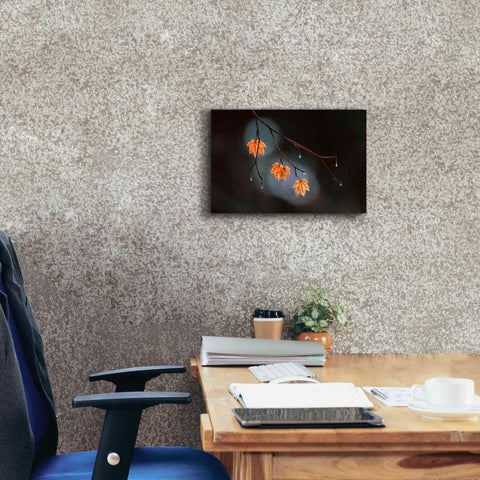 Image of 'Wet Fall' by Thomas Haney, Giclee Canvas Wall Art,18 x 12