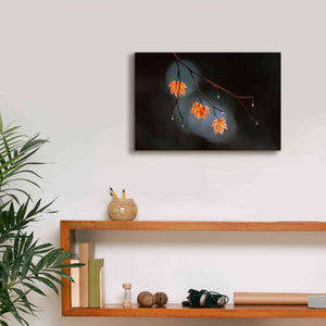'Wet Fall' by Thomas Haney, Giclee Canvas Wall Art,18 x 12