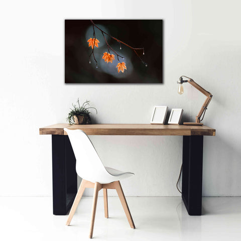 Image of 'Wet Fall' by Thomas Haney, Giclee Canvas Wall Art,40 x 26