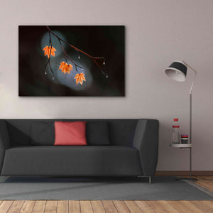 'Wet Fall' by Thomas Haney, Giclee Canvas Wall Art,60 x 40
