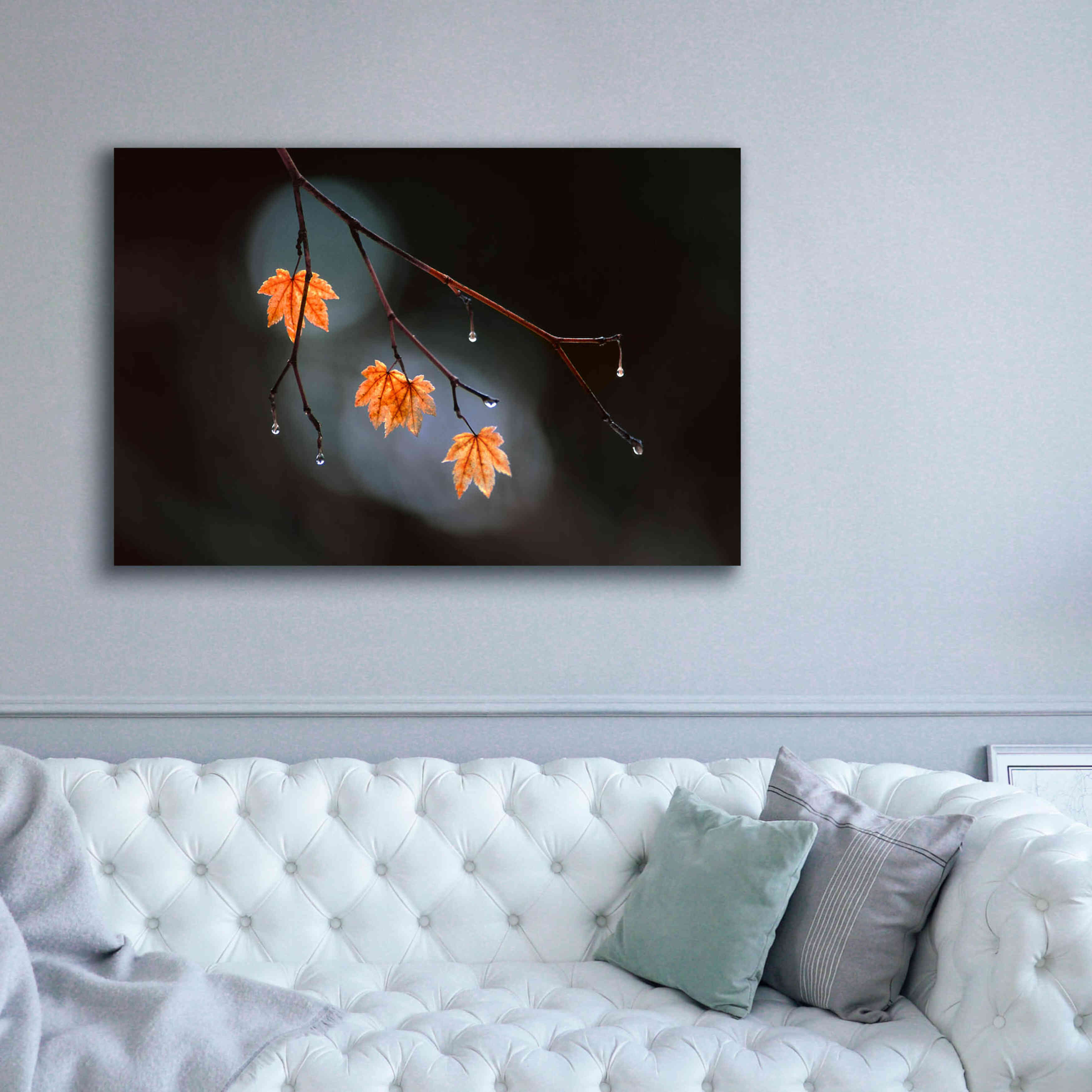 'Wet Fall' by Thomas Haney, Giclee Canvas Wall Art,60 x 40