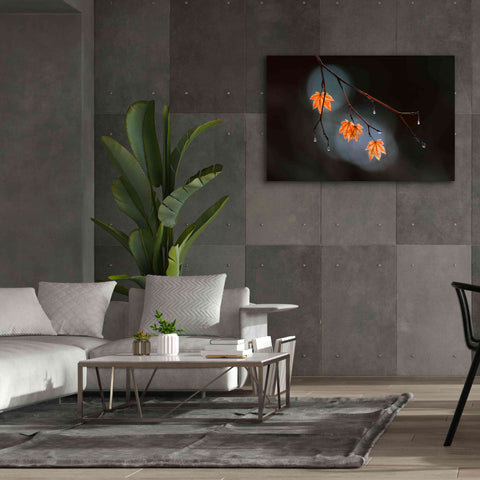 Image of 'Wet Fall' by Thomas Haney, Giclee Canvas Wall Art,60 x 40