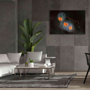 'Wet Fall' by Thomas Haney, Giclee Canvas Wall Art,60 x 40