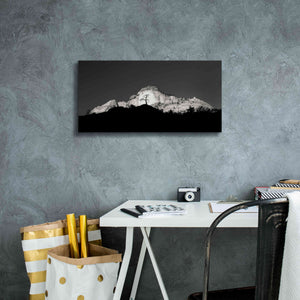 'Zion Tree Silhouette' by Thomas Haney, Giclee Canvas Wall Art,24 x 12