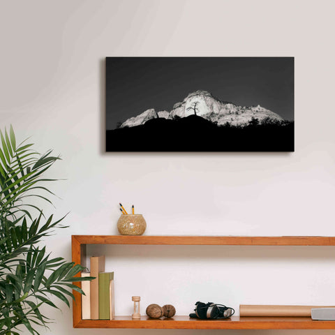 Image of 'Zion Tree Silhouette' by Thomas Haney, Giclee Canvas Wall Art,24 x 12