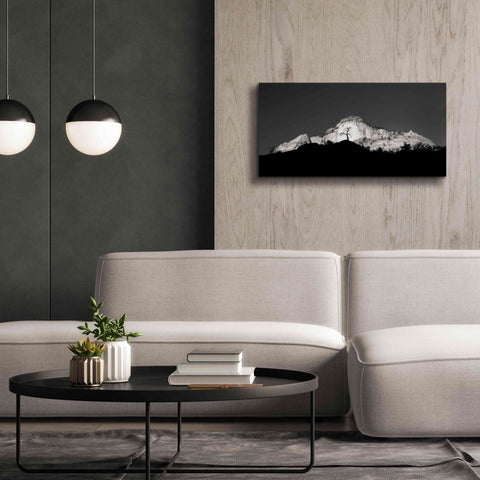 Image of 'Zion Tree Silhouette' by Thomas Haney, Giclee Canvas Wall Art,40 x 20