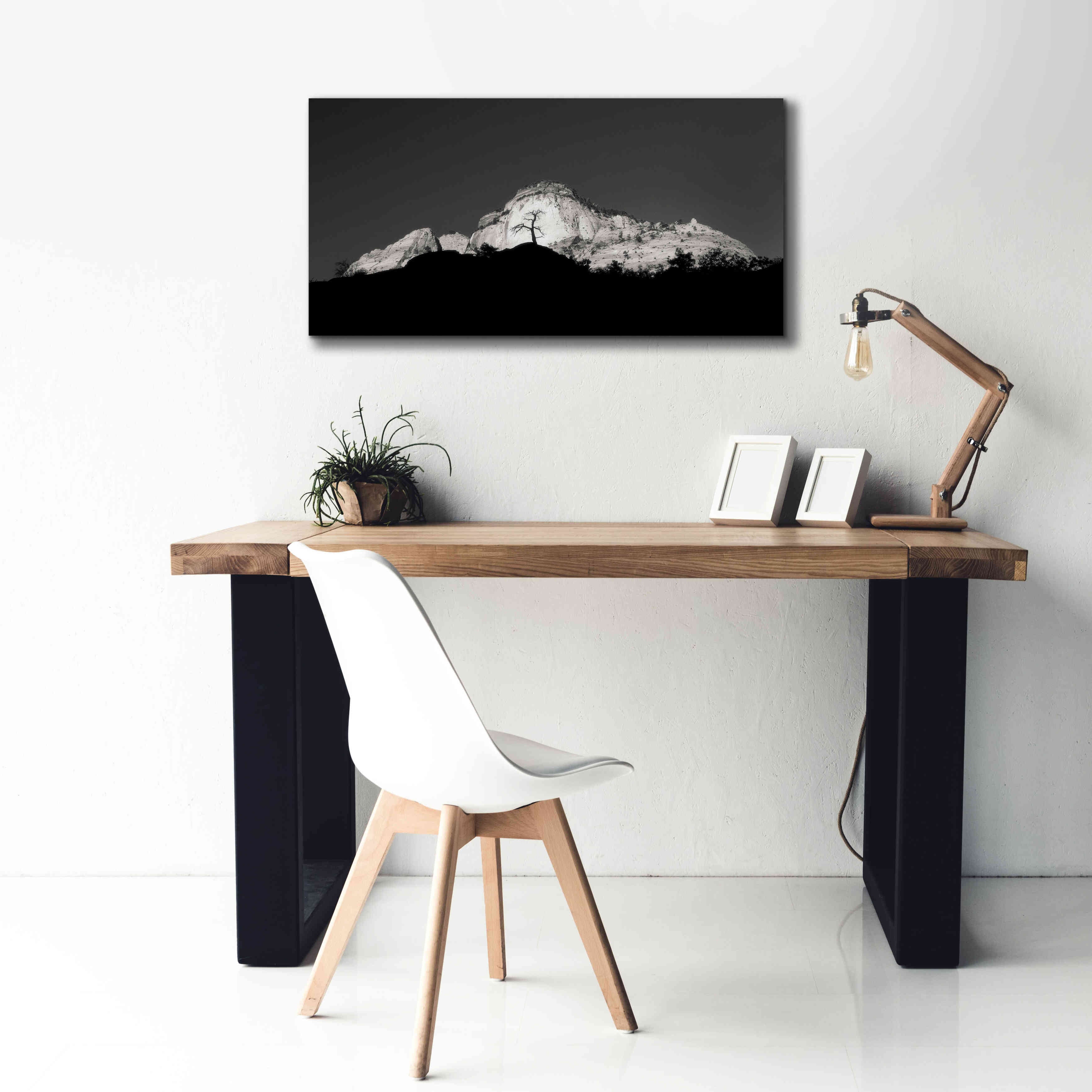 'Zion Tree Silhouette' by Thomas Haney, Giclee Canvas Wall Art,40 x 20