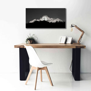'Zion Tree Silhouette' by Thomas Haney, Giclee Canvas Wall Art,40 x 20