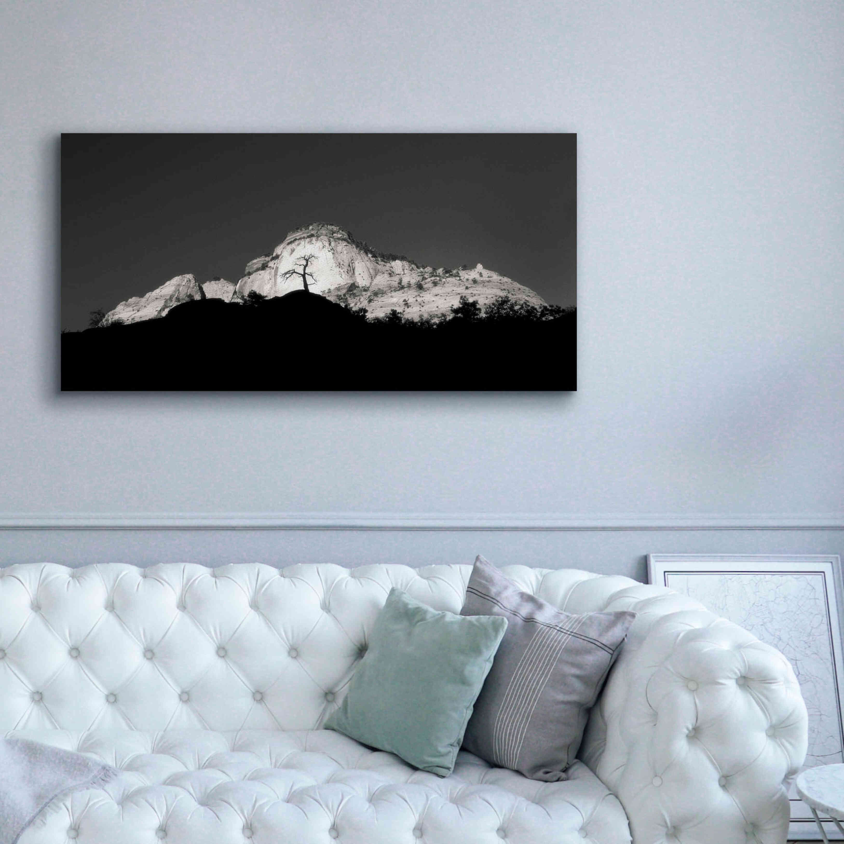 'Zion Tree Silhouette' by Thomas Haney, Giclee Canvas Wall Art,60 x 30