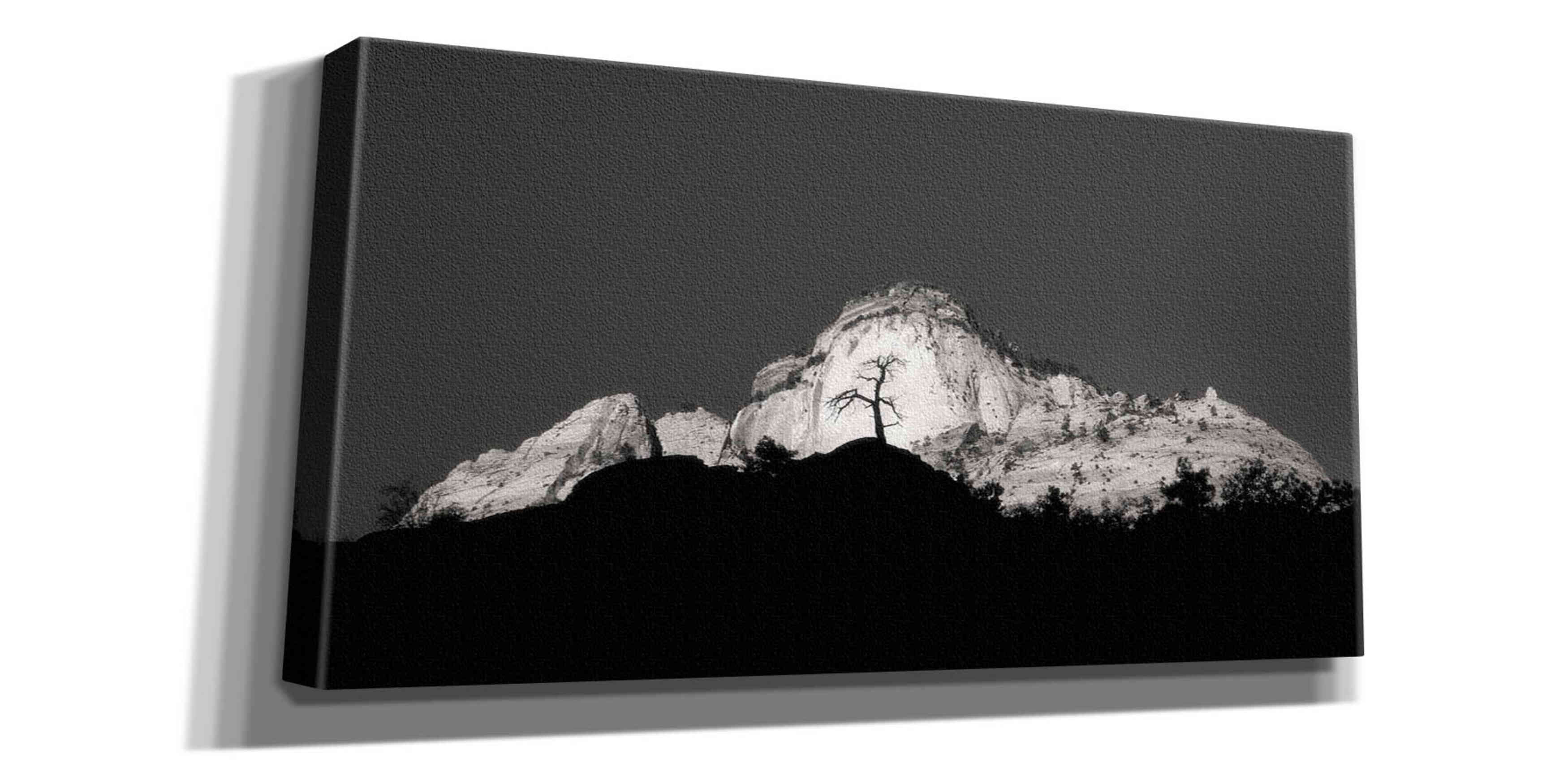 'Zion Tree Silhouette' by Thomas Haney, Giclee Canvas Wall Art