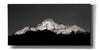 'Zion Tree Silhouette' by Thomas Haney, Giclee Canvas Wall Art