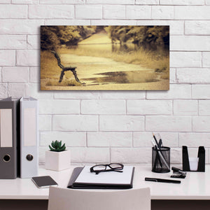 'After the Rain' by Sebastien Lory, Giclee Canvas Wall Art,24 x 12