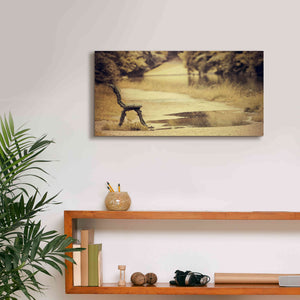 'After the Rain' by Sebastien Lory, Giclee Canvas Wall Art,24 x 12