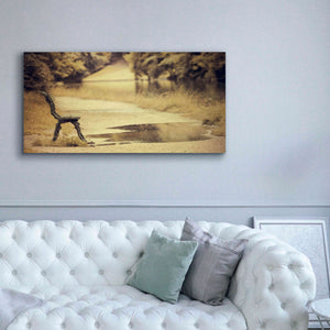 'After the Rain' by Sebastien Lory, Giclee Canvas Wall Art,60 x 30