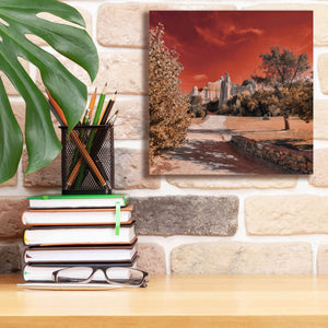 'IRadiation' by Sebastien Lory, Giclee Canvas Wall Art,12 x 12