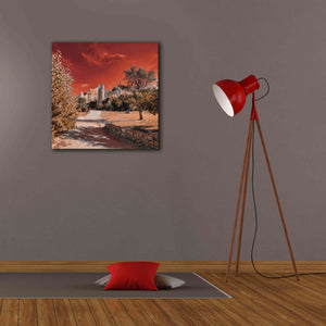 'IRadiation' by Sebastien Lory, Giclee Canvas Wall Art,26 x 26
