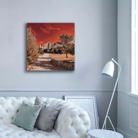 Image of 'IRadiation' by Sebastien Lory, Giclee Canvas Wall Art,37 x 37