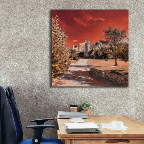 Image of 'IRadiation' by Sebastien Lory, Giclee Canvas Wall Art,37 x 37