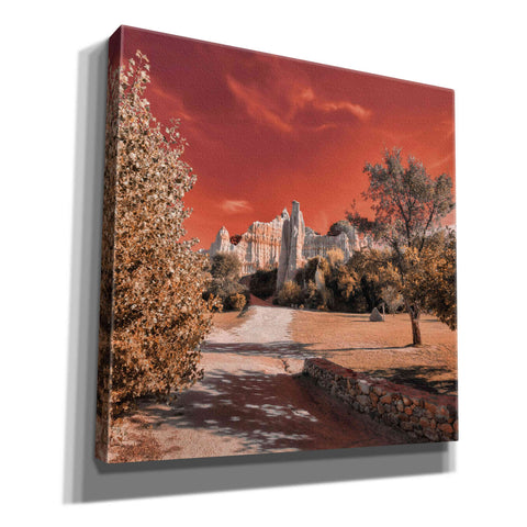 Image of 'IRadiation' by Sebastien Lory, Giclee Canvas Wall Art