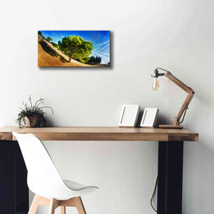'Summer Tree' by Sebastien Lory, Giclee Canvas Wall Art,24 x 12