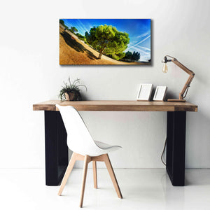 'Summer Tree' by Sebastien Lory, Giclee Canvas Wall Art,40 x 20