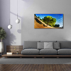 'Summer Tree' by Sebastien Lory, Giclee Canvas Wall Art,60 x 30