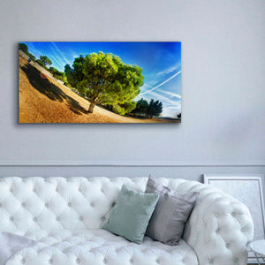 'Summer Tree' by Sebastien Lory, Giclee Canvas Wall Art,60 x 30