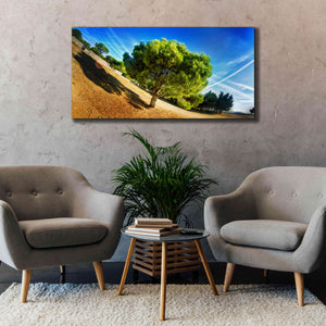 'Summer Tree' by Sebastien Lory, Giclee Canvas Wall Art,60 x 30