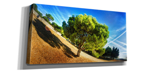 'Summer Tree' by Sebastien Lory, Giclee Canvas Wall Art