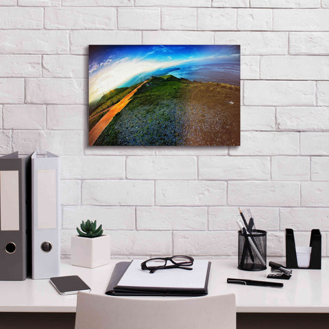 Image of 'Cap Bear' by Sebastien Lory, Giclee Canvas Wall Art,18 x 12