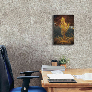'View Point' by Sebastien Lory, Giclee Canvas Wall Art,12 x 18