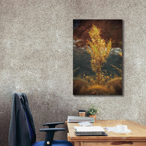 Image of 'View Point' by Sebastien Lory, Giclee Canvas Wall Art,26 x 40