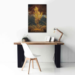 'View Point' by Sebastien Lory, Giclee Canvas Wall Art,26 x 40
