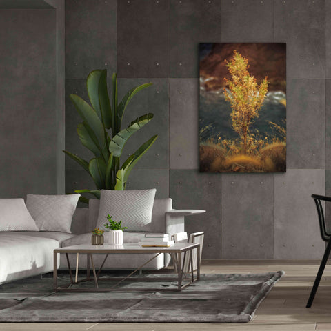 Image of 'View Point' by Sebastien Lory, Giclee Canvas Wall Art,40 x 60