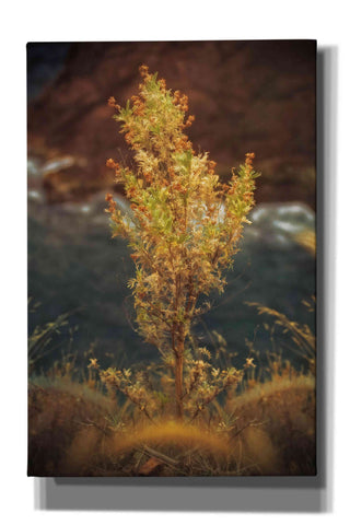 Image of 'View Point' by Sebastien Lory, Giclee Canvas Wall Art