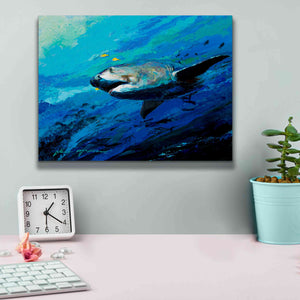 'The Mighty Bull Shark' by Jace D McTier, Giclee Canvas Wall Art,16 x 12
