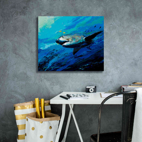 Image of 'The Mighty Bull Shark' by Jace D McTier, Giclee Canvas Wall Art,24 x 20